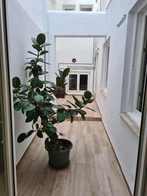 Apartament Apartamento Centrico Pontevedra Zewnętrze zdjęcie